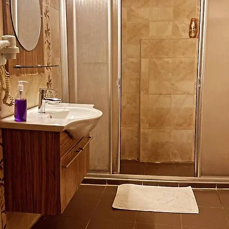 Aslan Istanbulská provincie