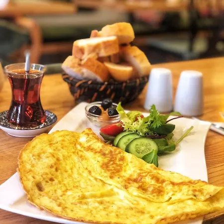 Aslan Istanbul